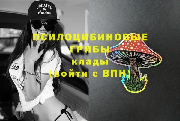2c-b Балабаново