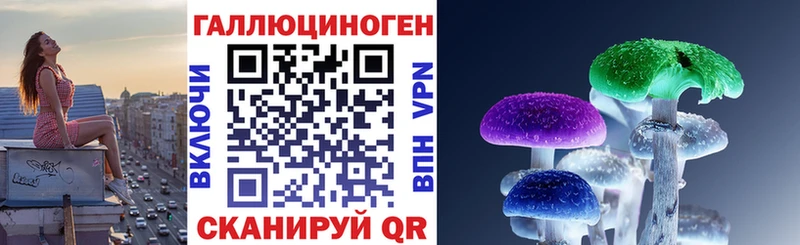 гидра зеркало  Теберда  Псилоцибиновые грибы ЛСД 